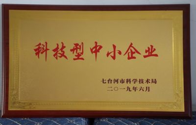 石墨烯公司被七臺河市科學(xué)技術(shù)局授予科技型中小企業(yè)稱(chēng)號