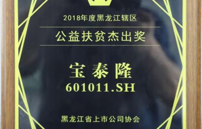 公司獲黑龍江省上市公司公益扶貧杰出獎